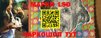 шишки Аргун