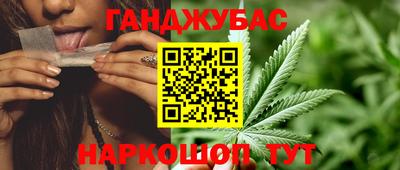 шишки Аргун