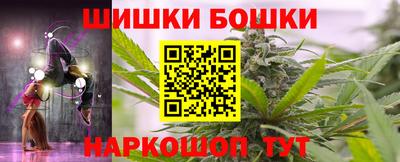 шишки Аргун