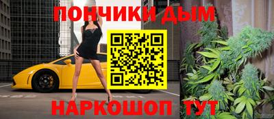 шишки Аргун
