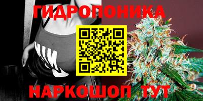 шишки Апрелевка