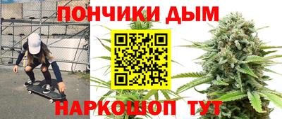 шишки Аргун
