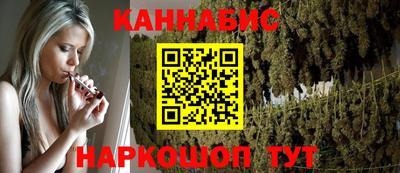 шишки Аргун