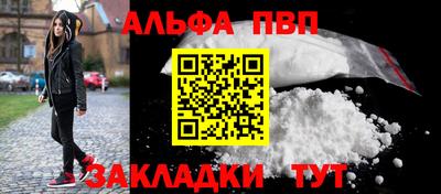 спиды Гай