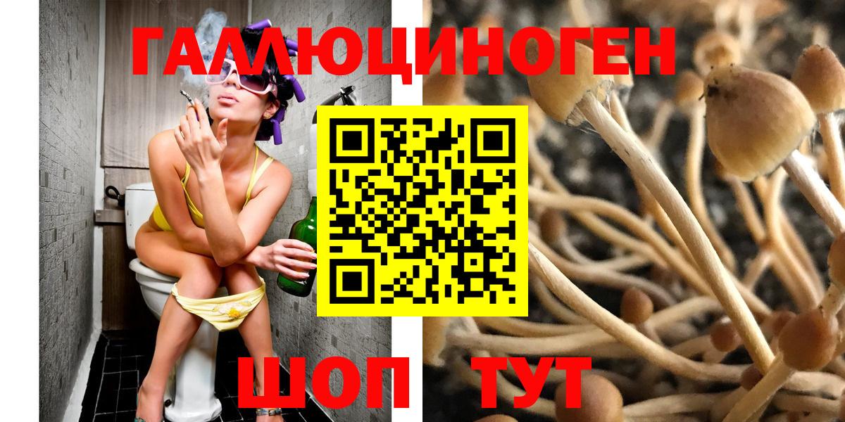 Галлюциногенные грибы GOLDEN TEACHER Богданович
