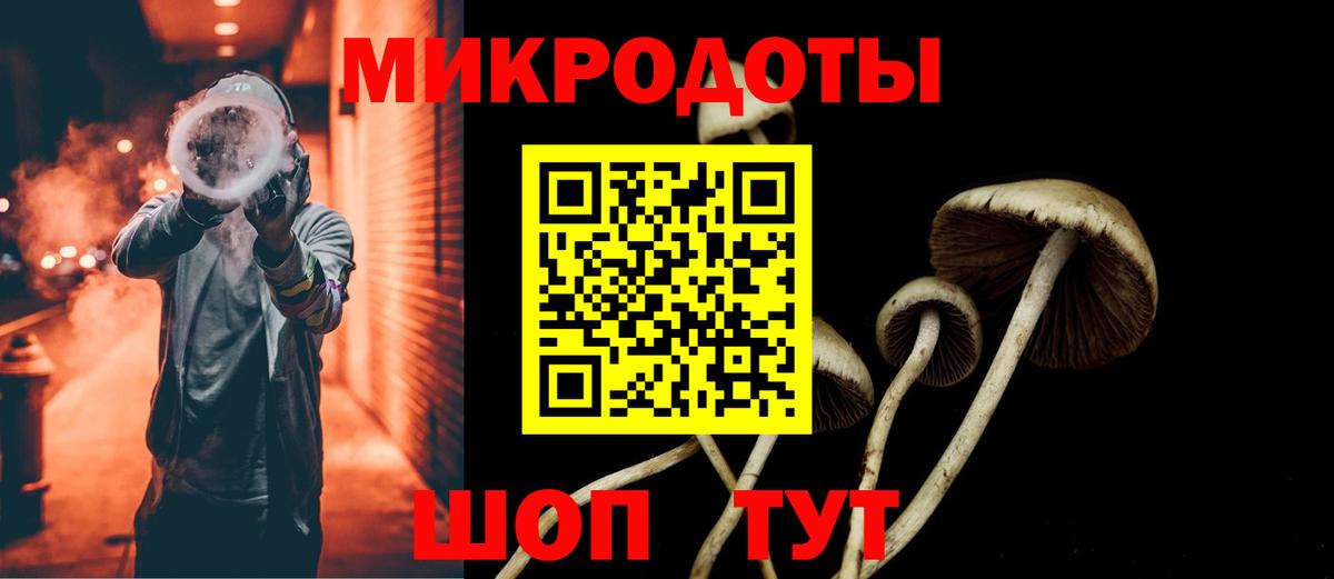 что такое   Вход с VPN  Псилоцибиновые грибы MAGIC MUSHROOMS  Богданович  Псилоцибиновые грибы Psilocybe 